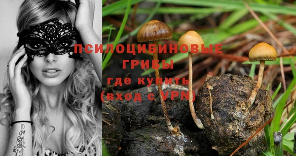 индика Арсеньев