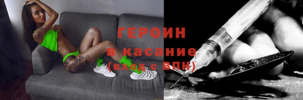 индика Арсеньев
