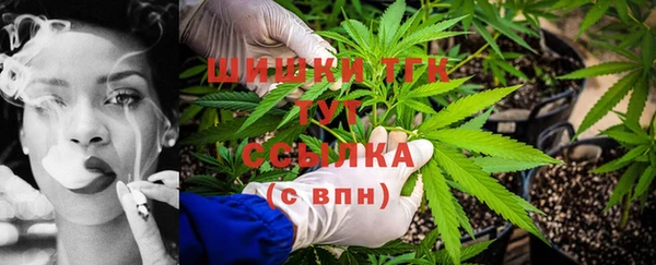индика Арсеньев