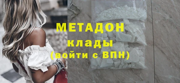 индика Арсеньев