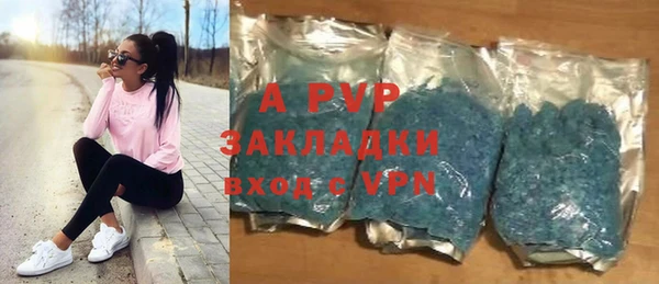 индика Арсеньев