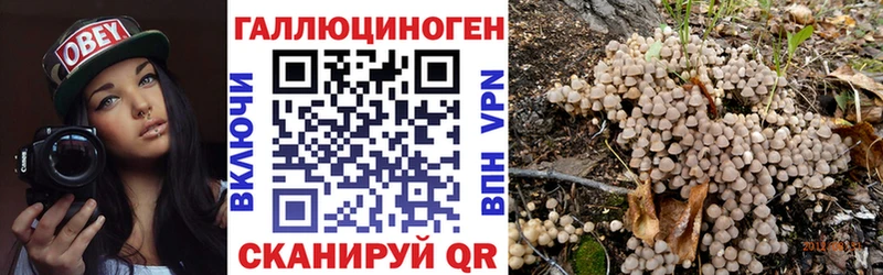 Купить где  Княгинино  Галлюциногенные грибы MAGIC MUSHROOMS 